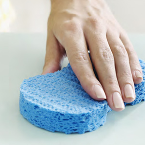 sponches-pads